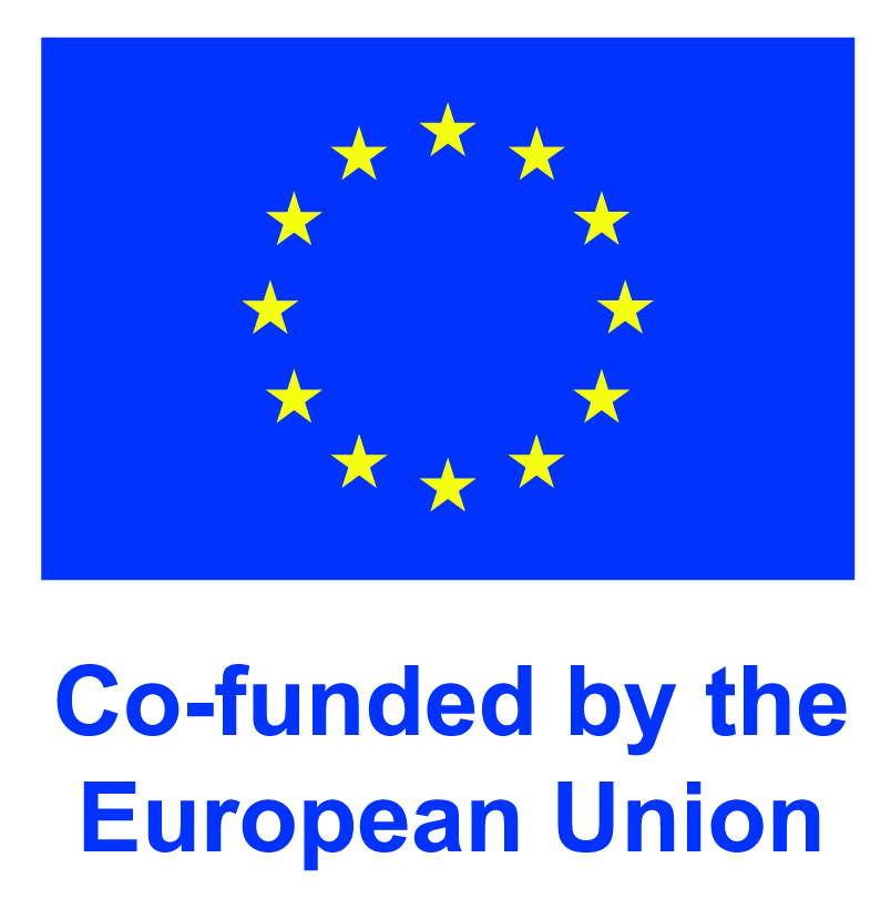 Co-funded by the European Union