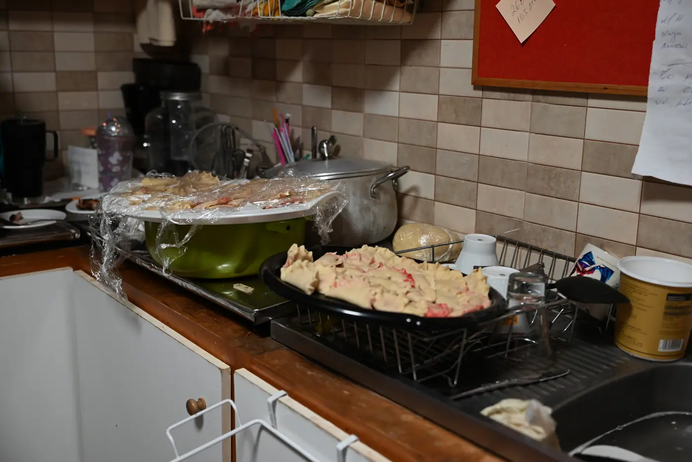 Day 5 in Sounio, during the intercultural cooking session. Photo 19 of 22.